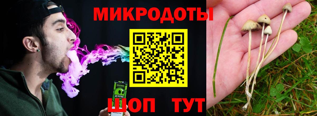 продажа наркотиков  Галлюциногенные грибы мухоморы  Вход с VPN  Североуральск  Галлюциногенные грибы мухоморы 